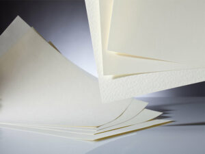 giay ivory 4